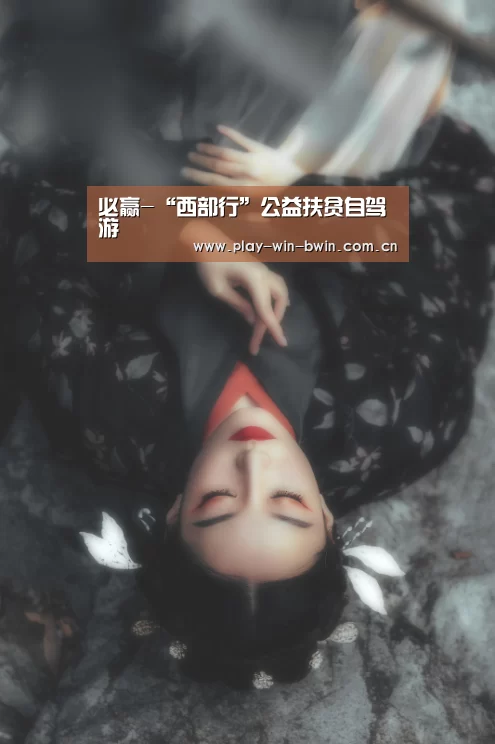 必赢-“西部行”公益扶贫自驾游(图1) 必赢网页版